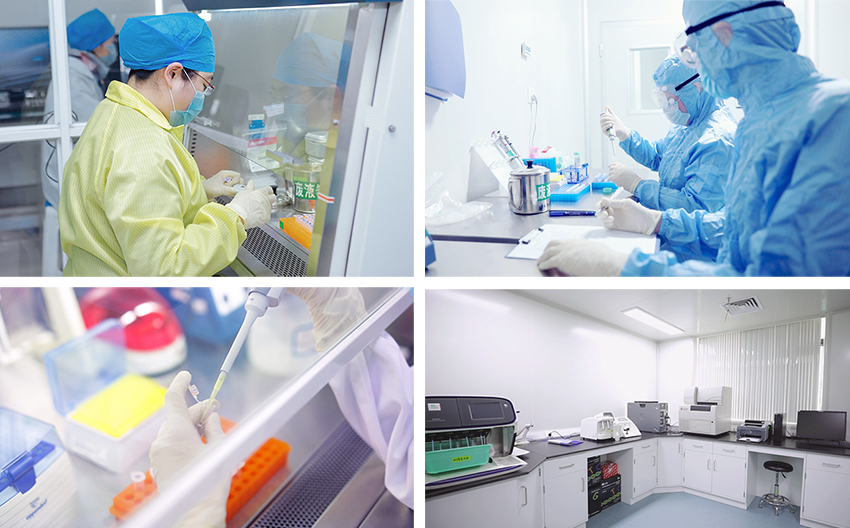 江蘇默金生物工程技術 創新驅動，引領生物技術研發前沿