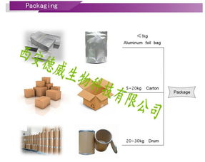 技術(shù)賦能下的產(chǎn)品報(bào)價(jià)策略與市場推廣